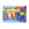 Castorland Puzzle Zrzavá koťata, 60 dílků